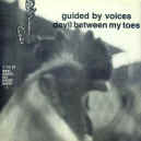 GBV-devil-between-toes-900.JPG (116312 bytes)