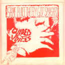 GBV-fly-got-smashed-900.JPG (98973 bytes)