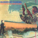 GBV-under-bushes-900.JPG (108033 bytes)