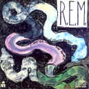 REM-reckoning-900.JPG (174898 bytes)