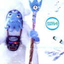 SFA-northern-lites-900.JPG (77593 bytes)