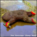 ZCB-hey-you-drunkards-900.JPG (73255 bytes)