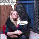 gorilla-love-0804.JPG (50261 bytes)