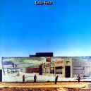 little-feat-ST-900.JPG (129855 bytes)