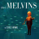melvins-senile-animal-900.JPG (72145 bytes)