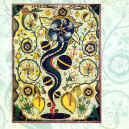 steve-earle-i-feel-alright-900.JPG (217205 bytes)