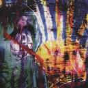 terrestrial-tones-dead-drunk-900.JPG (134449 bytes)