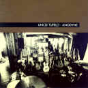 uncle-tupelo-anodyne-900.JPG (146851 bytes)